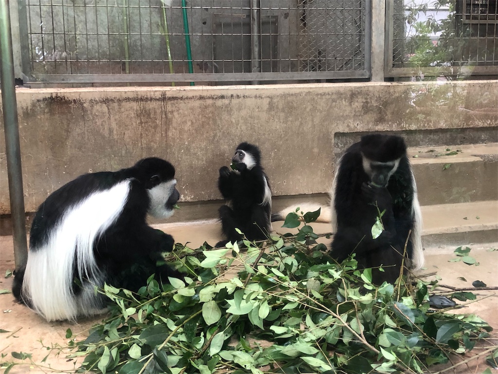 f:id:megmikke:20190921234411j:image