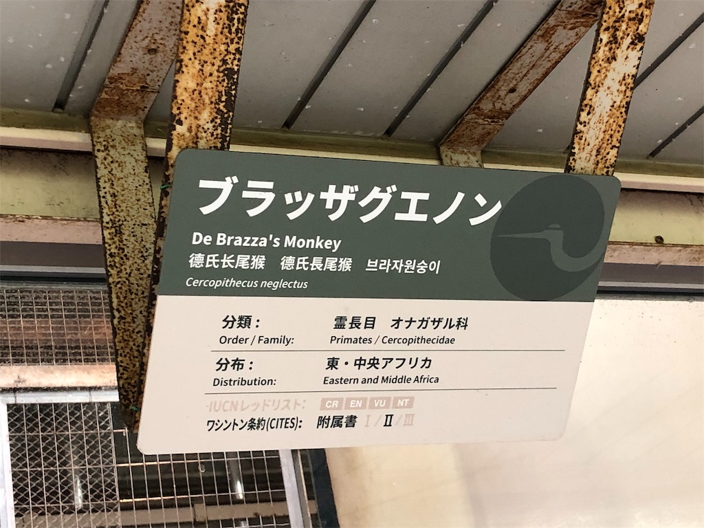 f:id:megmikke:20190921234416j:image