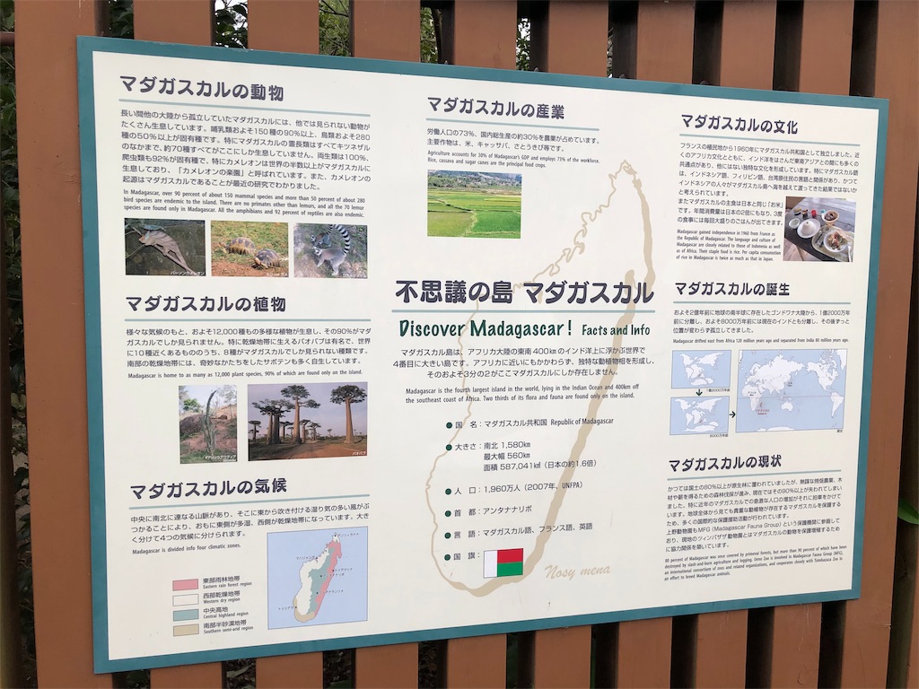 f:id:megmikke:20190922000454j:image