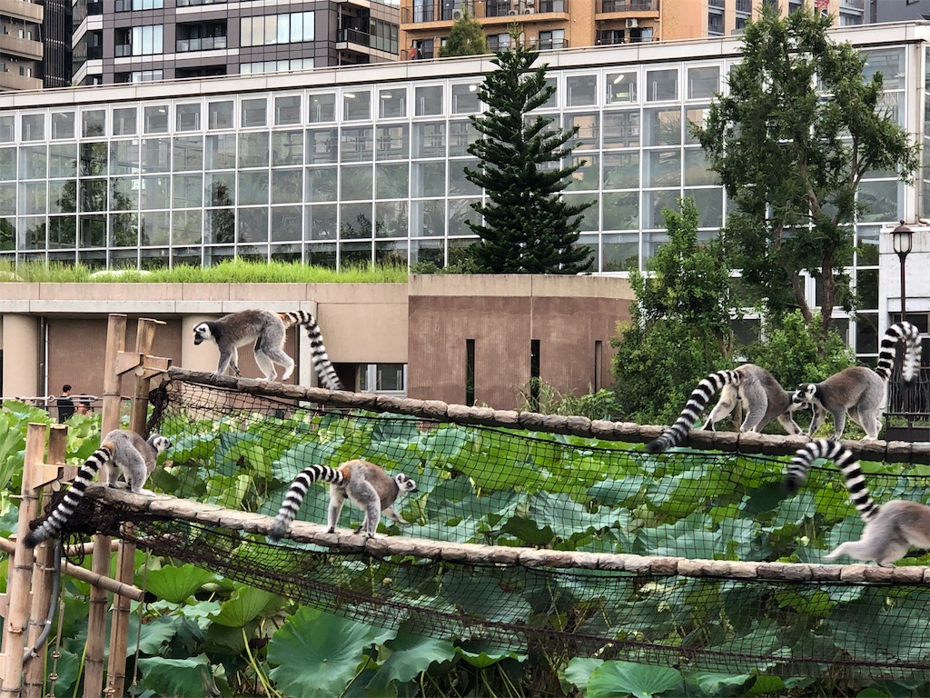f:id:megmikke:20190922000458j:image