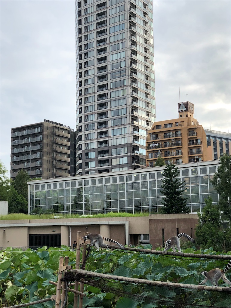 f:id:megmikke:20190922000504j:image