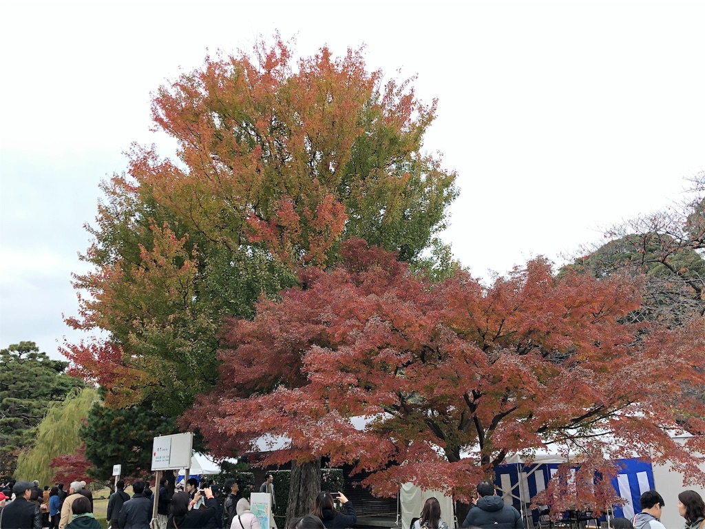 f:id:megmikke:20191201222245j:image