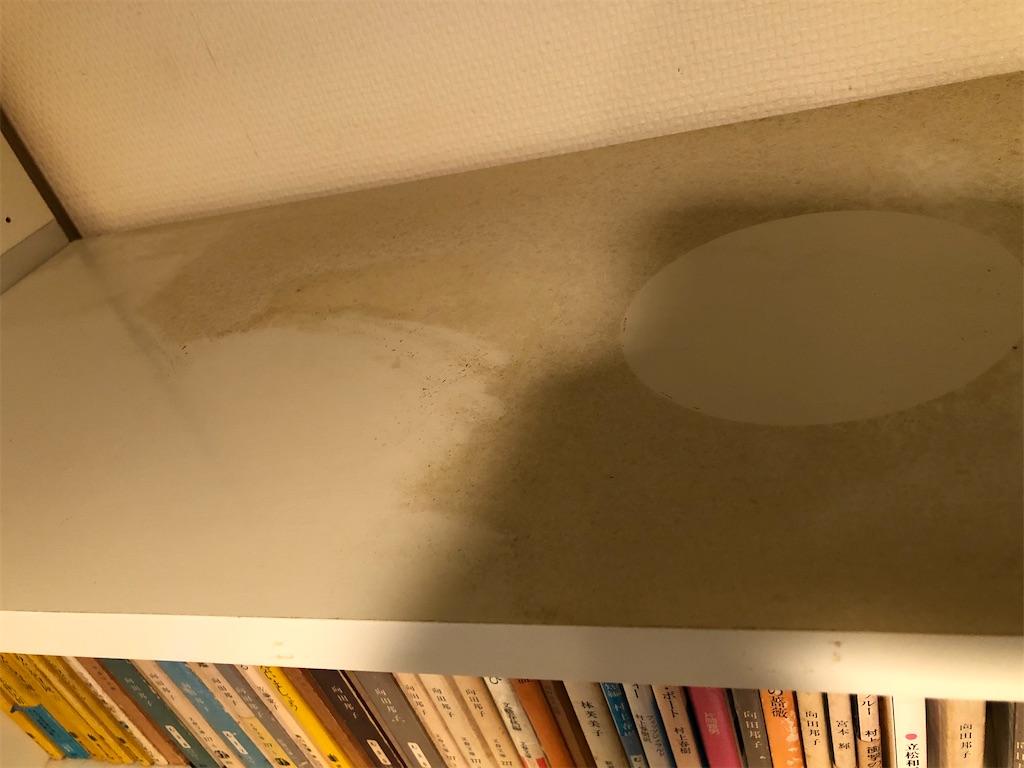 f:id:megmikke:20200621194653j:image