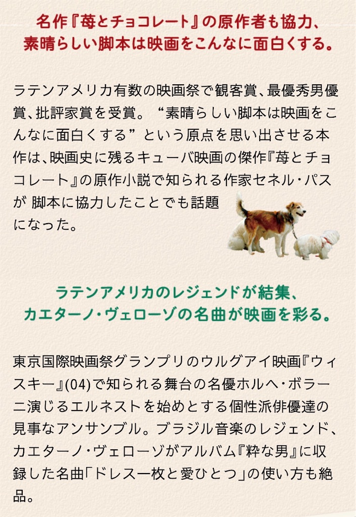 f:id:megmikke:20200905200522j:image