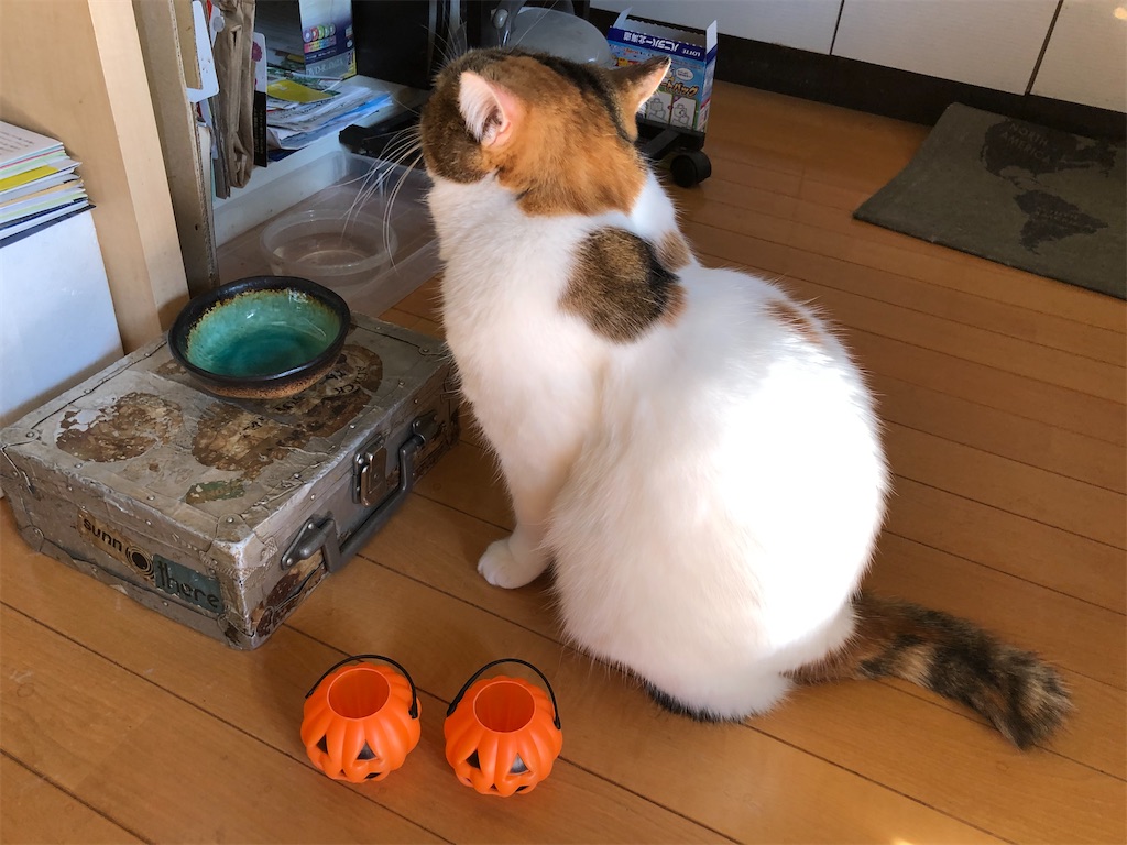 f:id:megmikke:20201031212709j:image