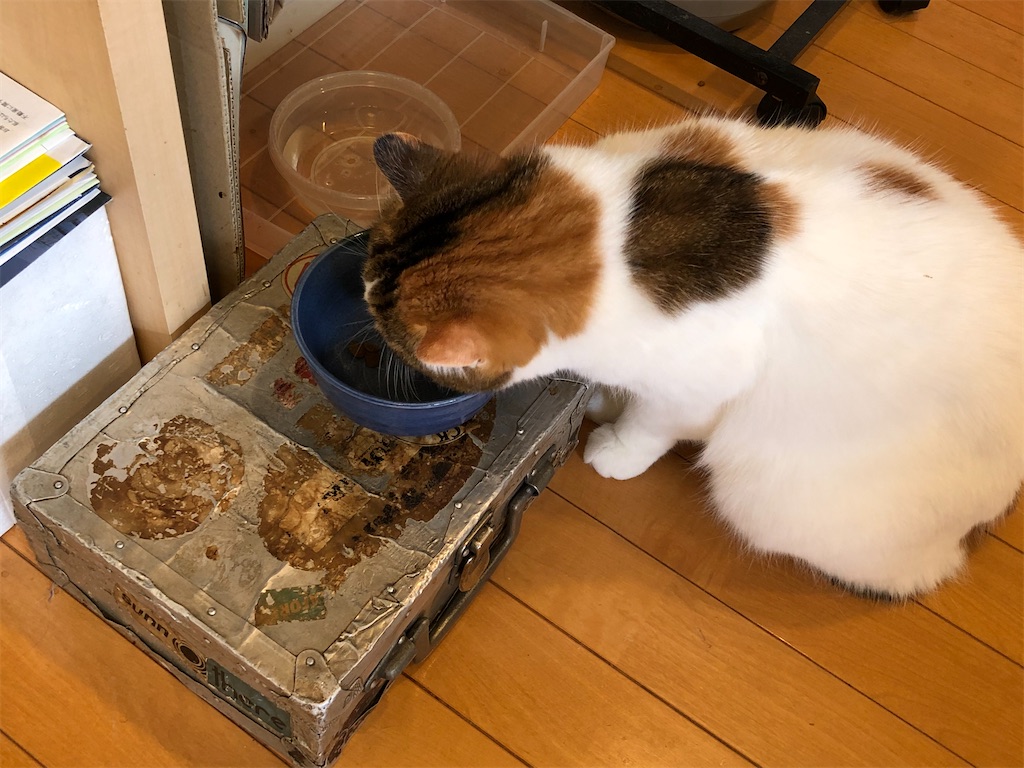 f:id:megmikke:20201031214456j:image