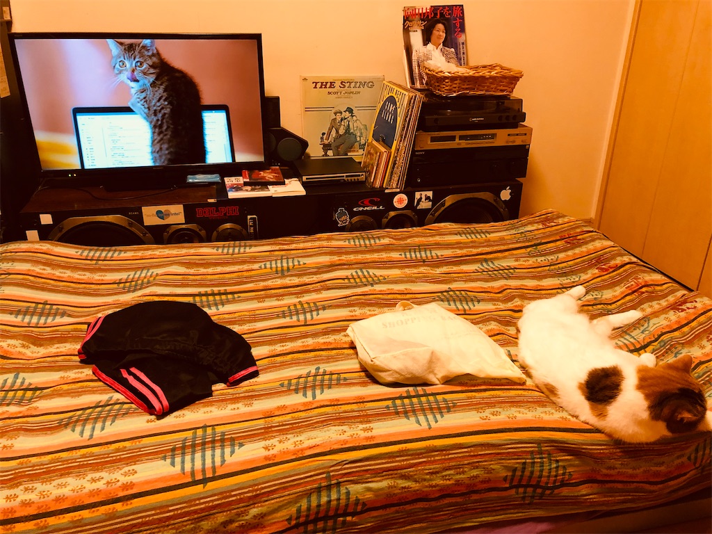 f:id:megmikke:20210711223025j:image