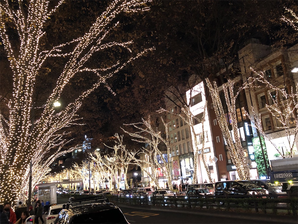 f:id:megmikke:20211224021759j:image