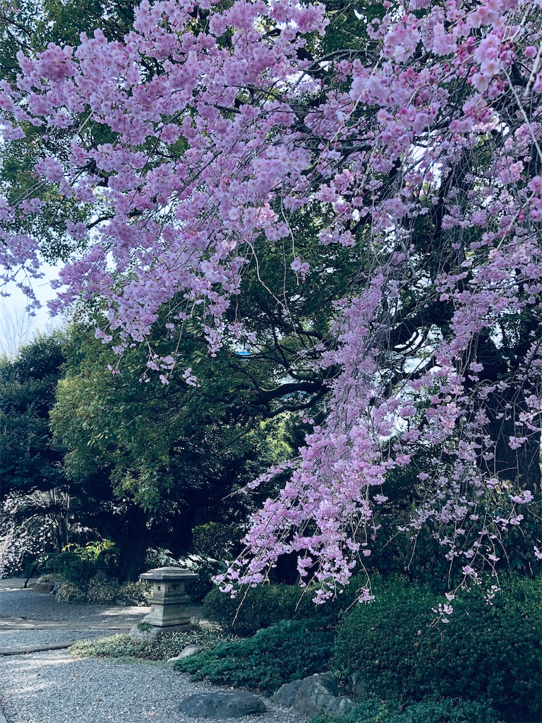 f:id:megmikke:20220403011253j:image