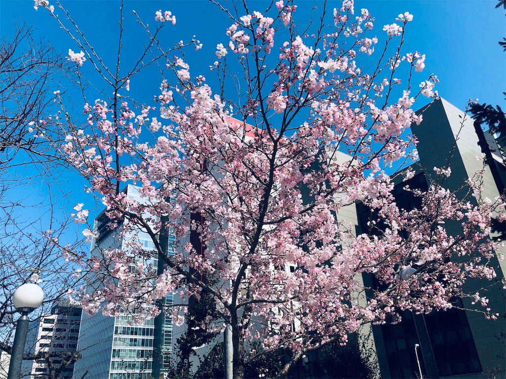 f:id:megmikke:20220828223222j:image