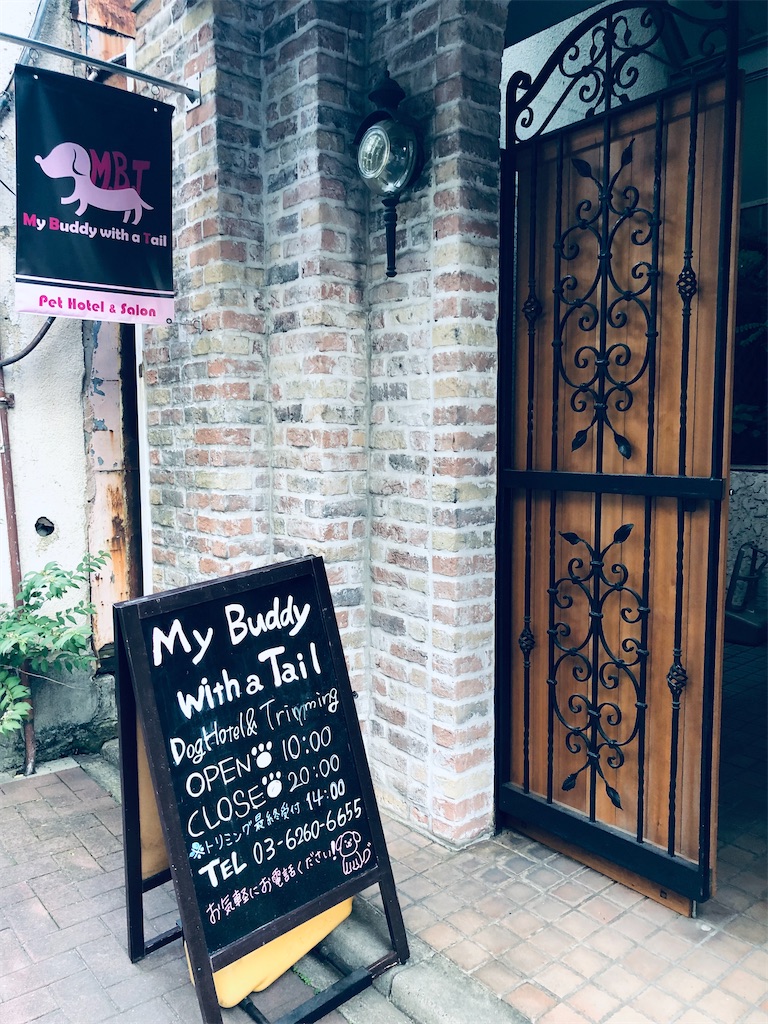 f:id:megmikke:20220828223922j:image