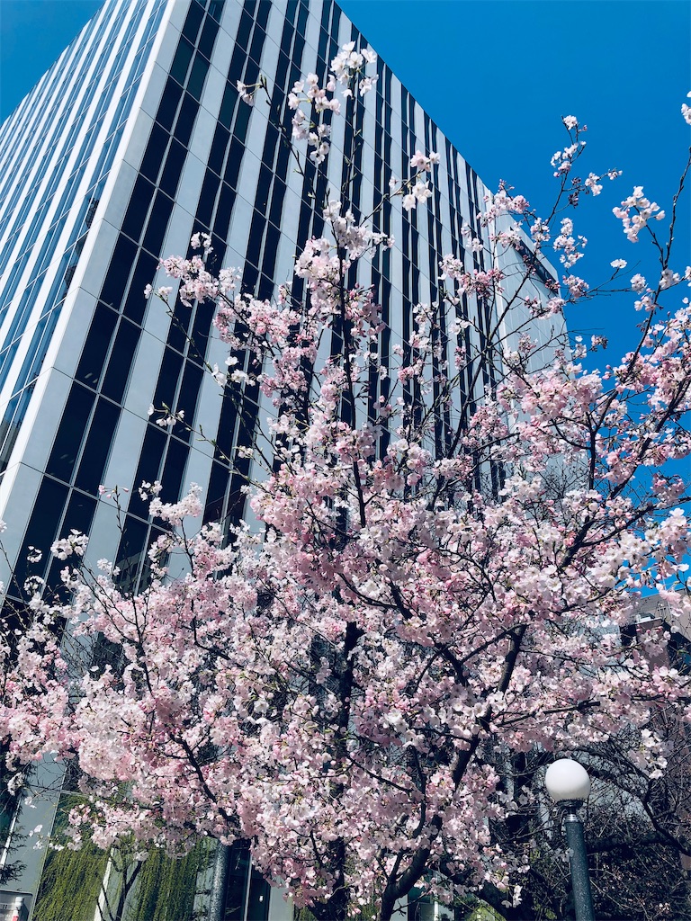 f:id:megmikke:20220829122043j:image