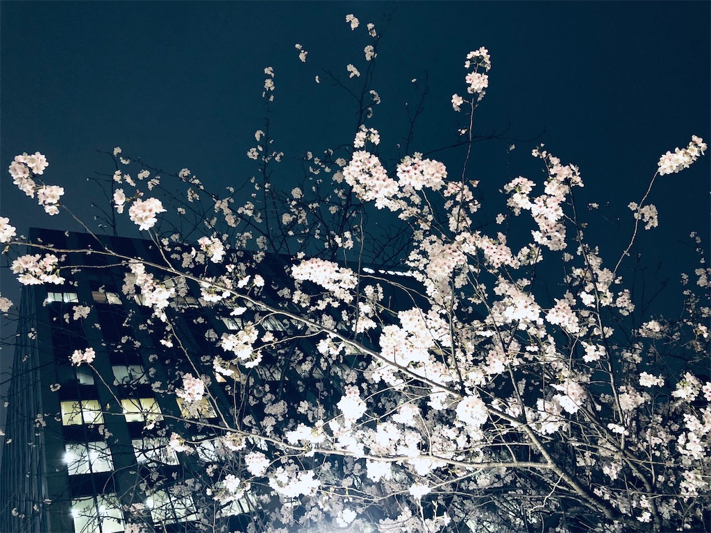 f:id:megmikke:20220829134643j:image