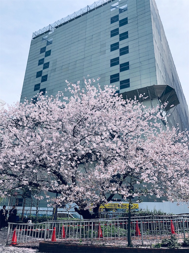 f:id:megmikke:20220829135005j:image