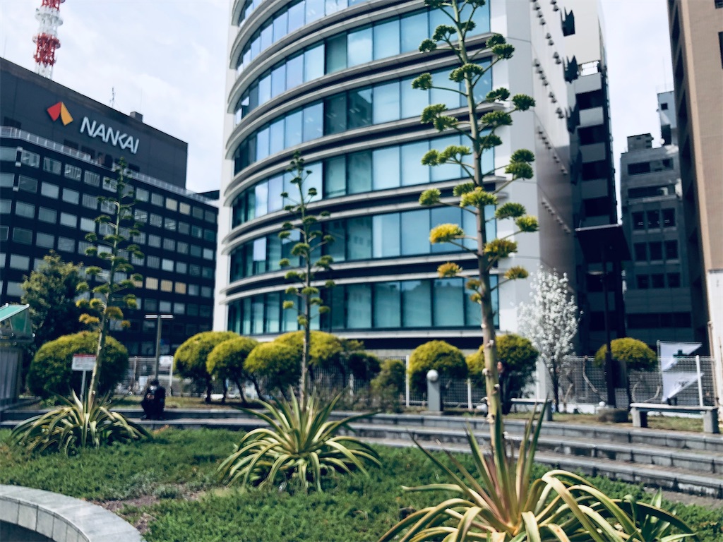 f:id:megmikke:20220829152713j:image