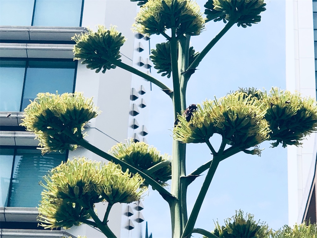 f:id:megmikke:20220829154739j:image