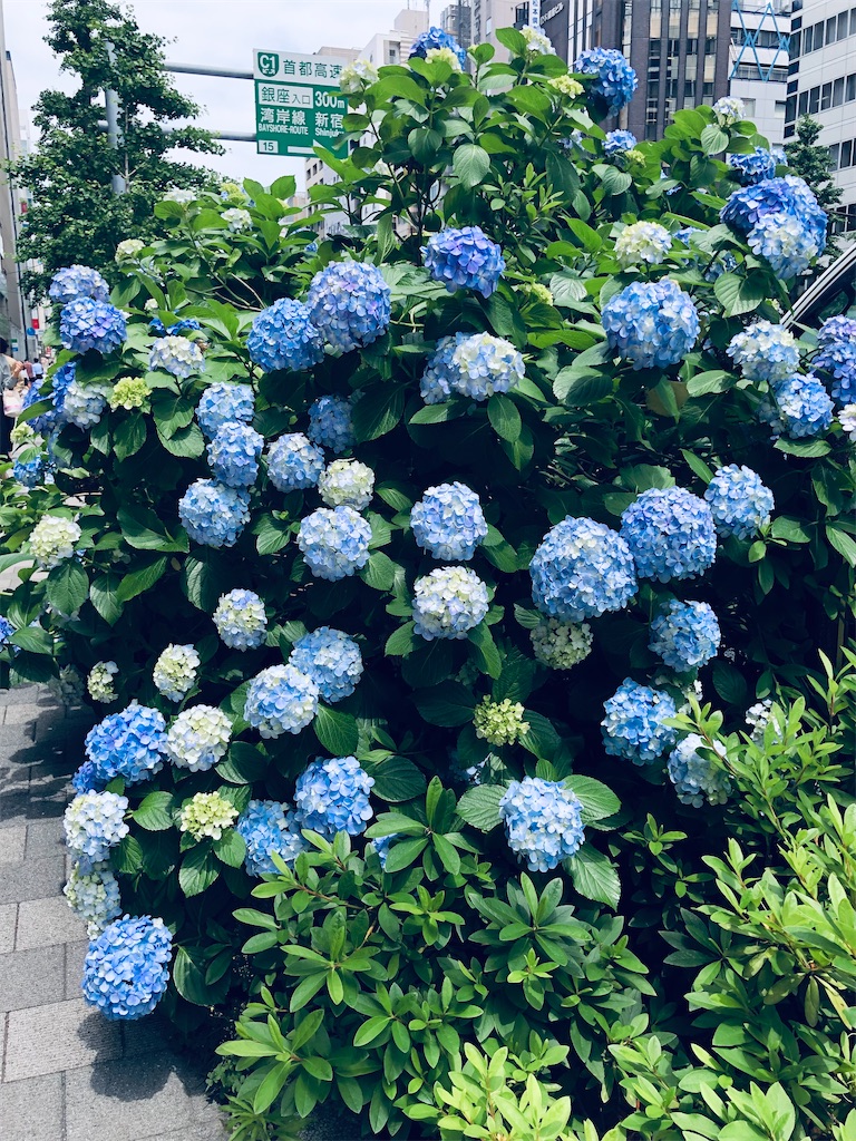 f:id:megmikke:20220829160749j:image