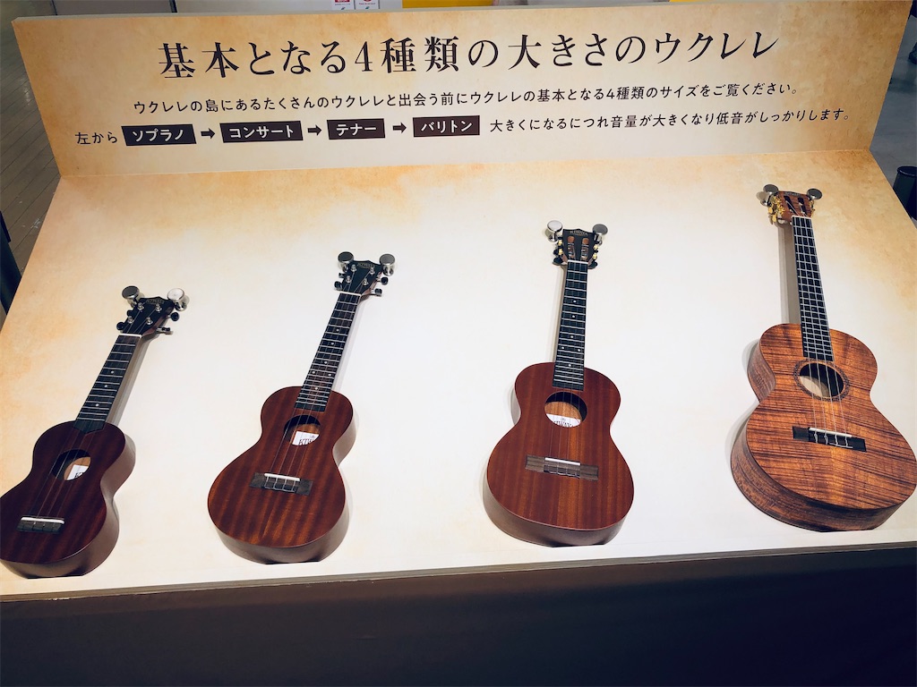 f:id:megmikke:20220908194943j:image