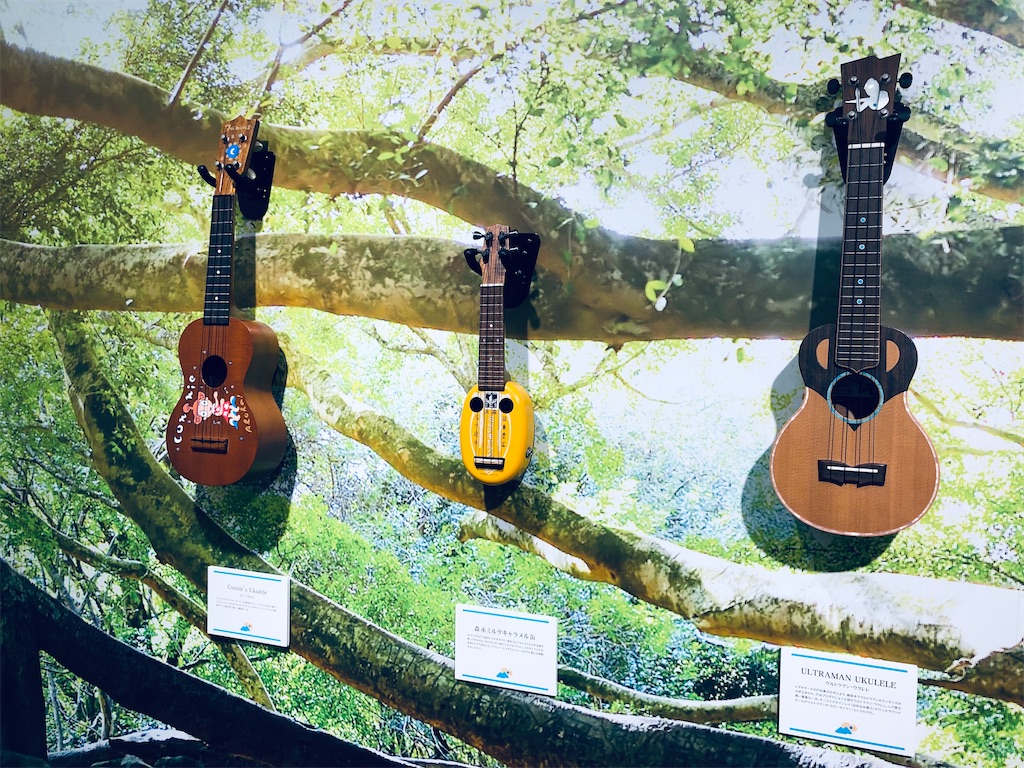 f:id:megmikke:20220908195003j:image