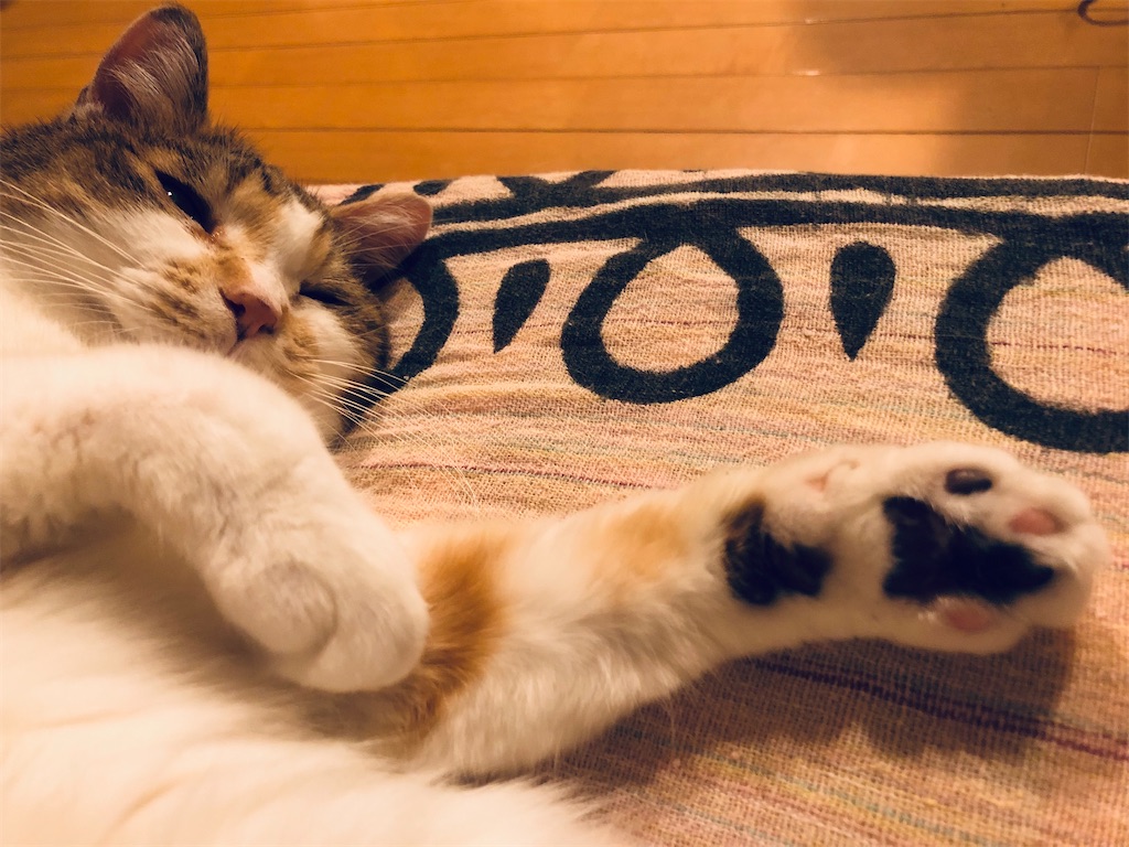 f:id:megmikke:20221030014920j:image