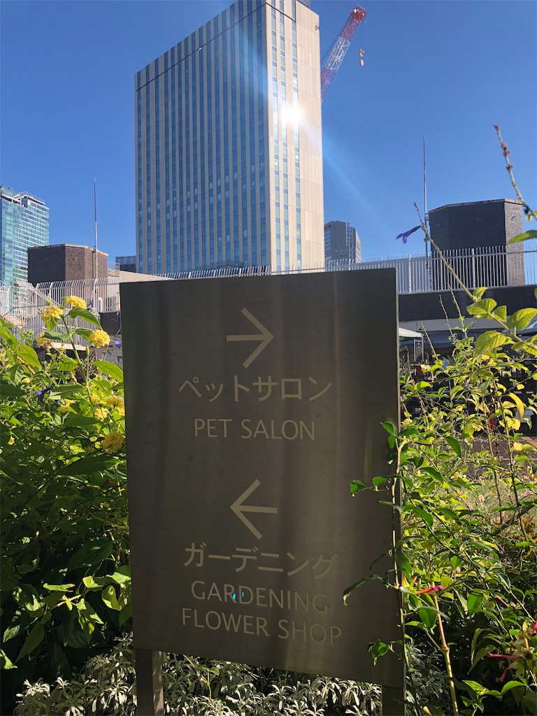 f:id:megmikke:20230128171303j:image