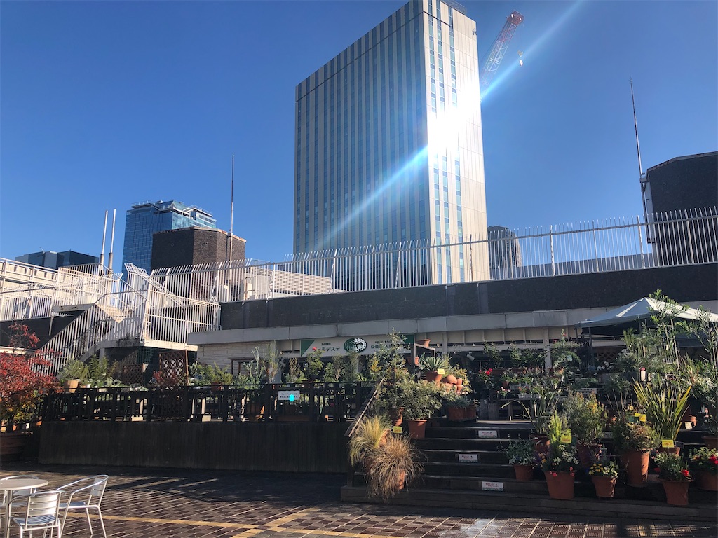 f:id:megmikke:20230128171312j:image f:id:megmikke:20230128171312j:image