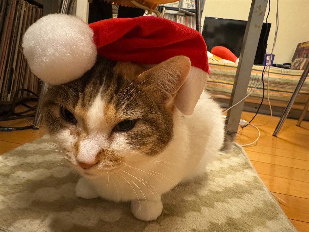 f:id:megmikke:20231204153014j:image