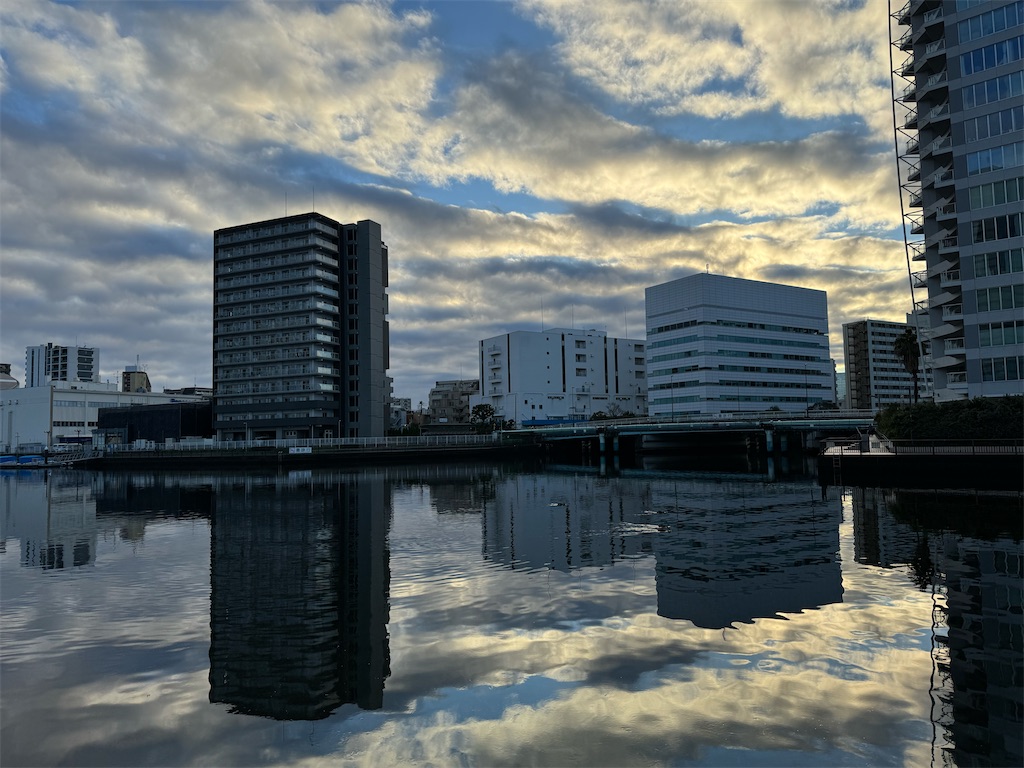 f:id:megmikke:20240218231650j:image