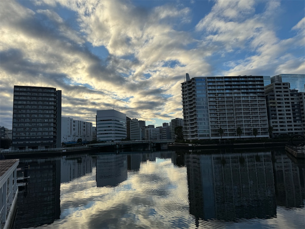 f:id:megmikke:20240218231658j:image