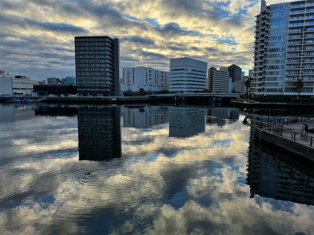 f:id:megmikke:20240218231705j:image