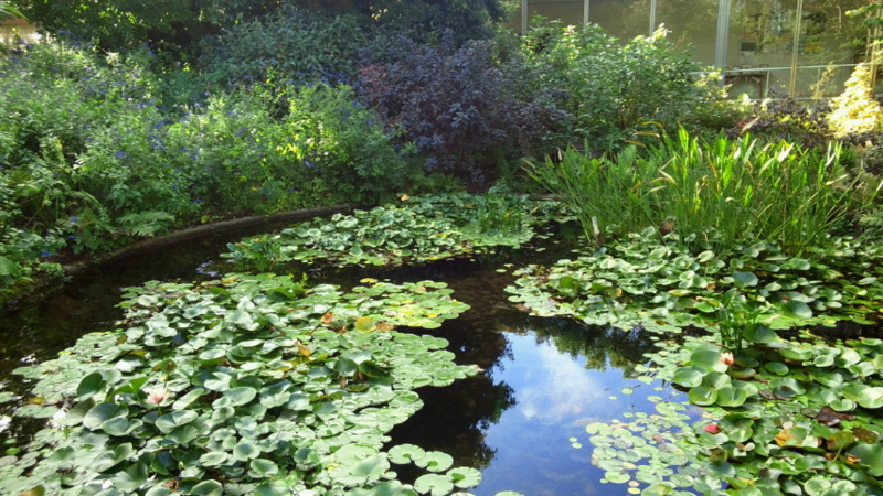 f:id:megomura:20140914160000j:image:w360