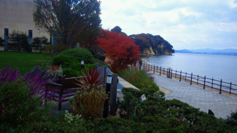 f:id:megomura:20141123130400j:image:w360