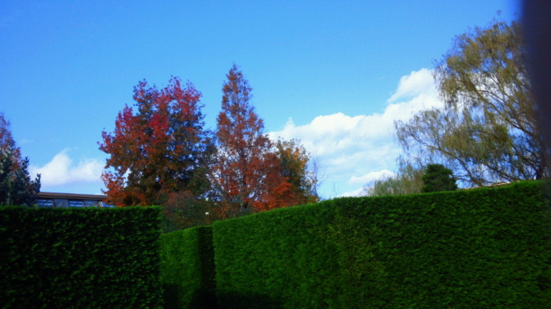 f:id:megomura:20141129094000j:image:w360