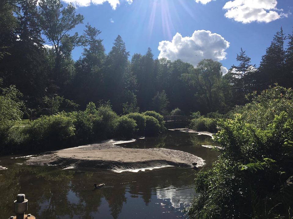 f:id:megricon:20180217195151j:plain