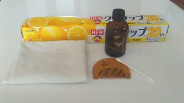 f:id:megstyle39:20170114160955j:plain