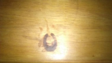 f:id:megstyle39:20170126102505j:plain