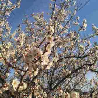 f:id:megstyle39:20200301172511j:plain