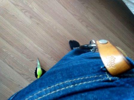 f:id:megstyle39:20210321154813j:plain