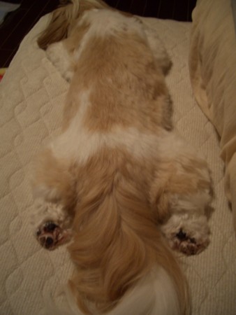 f:id:meguchi623:20100904220636j:image:w360