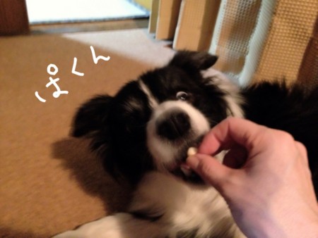 f:id:meguchi623:20140126075949j:image:w360