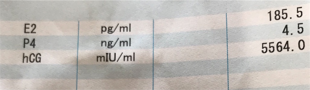 5週2日 胎嚢確認 サコ太くん46歳とコロ29歳の妊活から出産