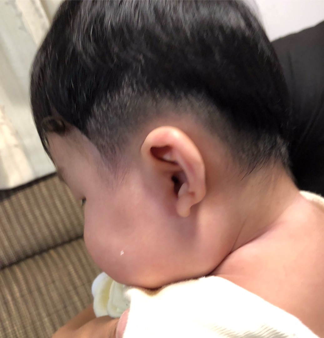 f:id:meguharuo:20200721182358j:plain
