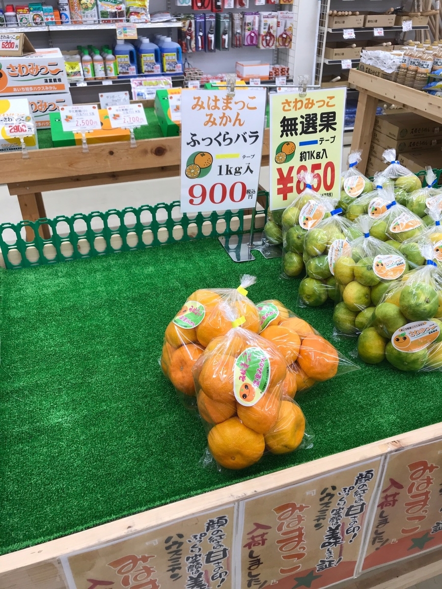 甘いと人気の知多半島のブランドみかん・みはまっこを販売しているＪＡの陳列棚
