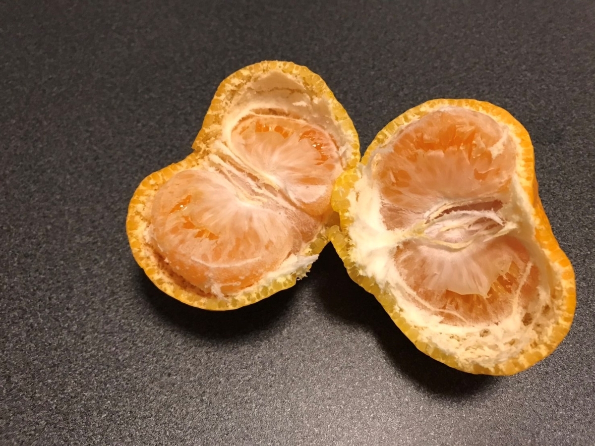 甘いと人気の知多半島のブランドみかん・みはまっこを割った様子