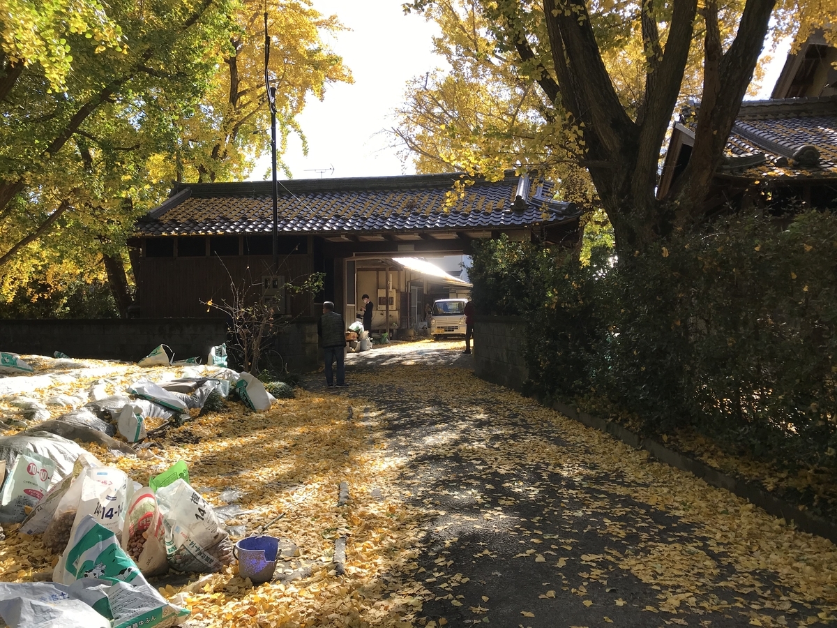 f:id:meguharuo:20201124001007j:plain