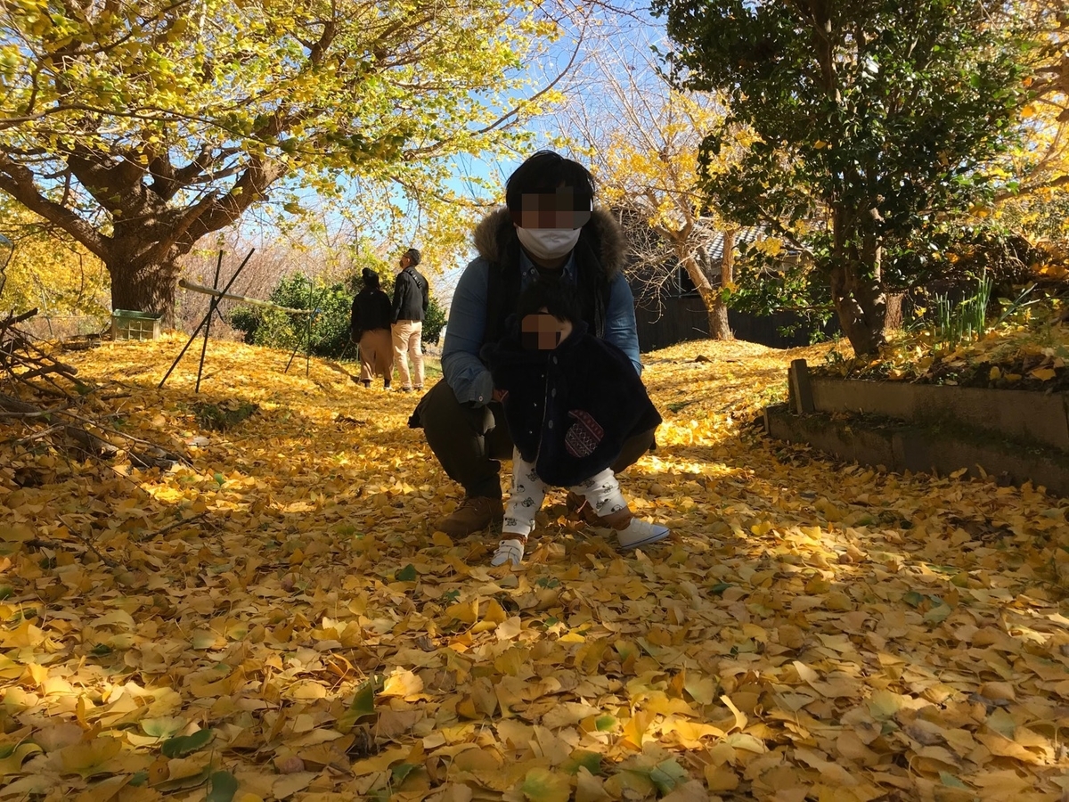 f:id:meguharuo:20201124005233j:plain