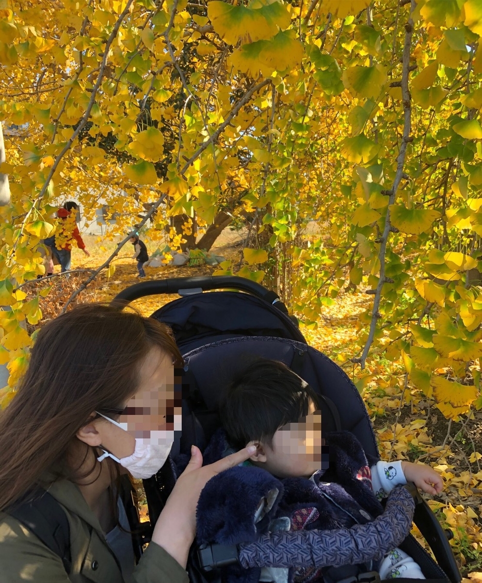 f:id:meguharuo:20201124012425j:plain