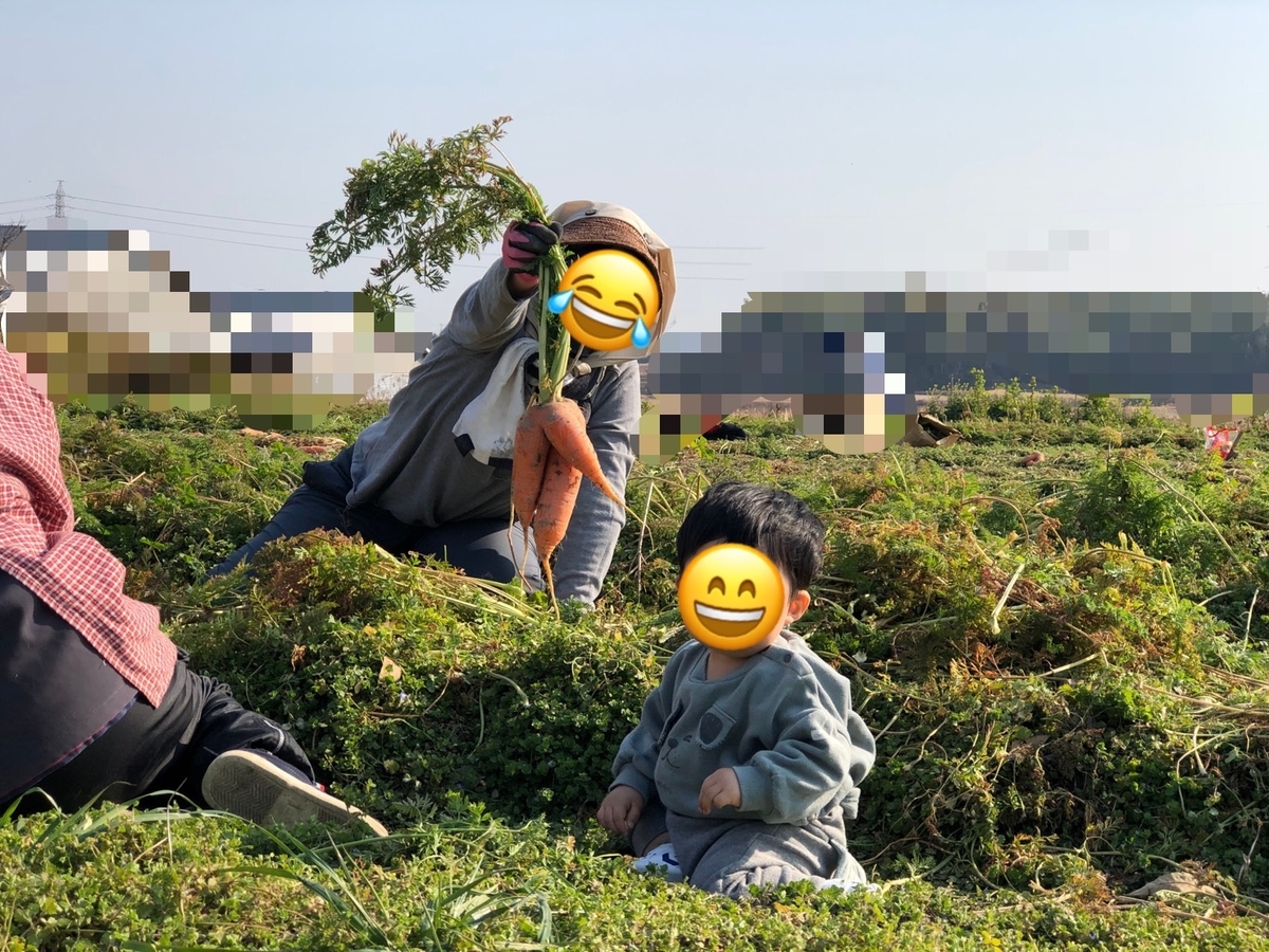 f:id:meguharuo:20210222234302j:plain