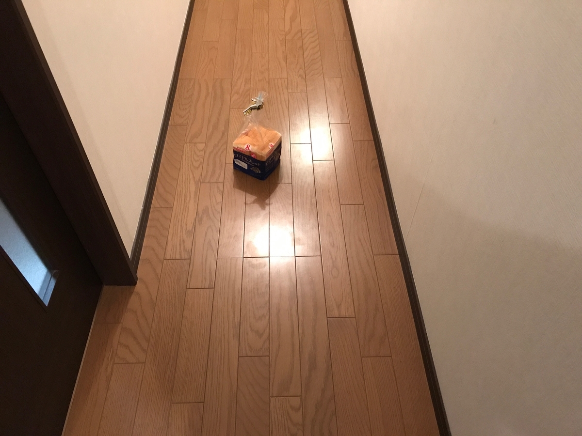 f:id:meguharuo:20210329232938j:plain