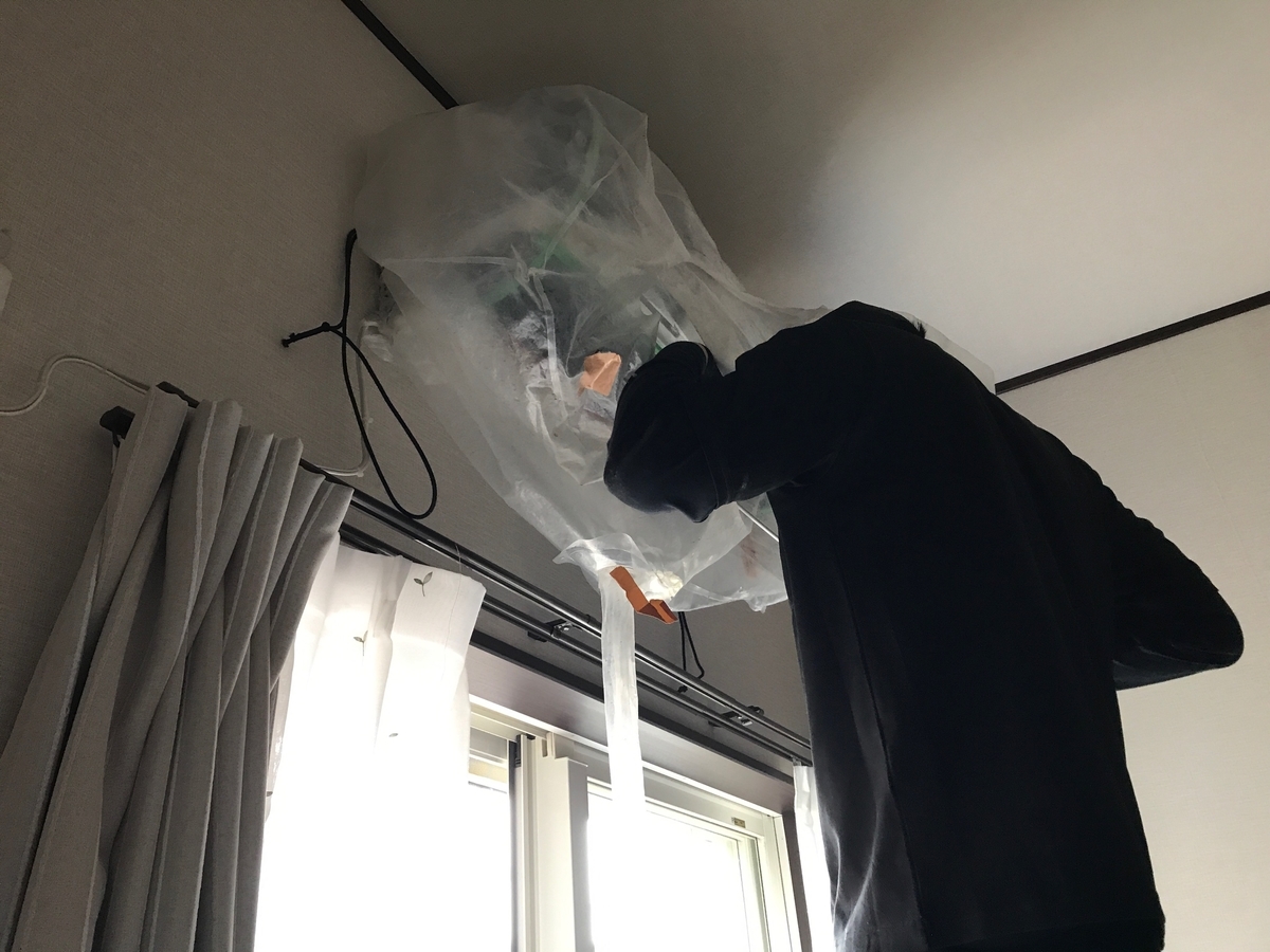f:id:meguharuo:20210509225110j:plain